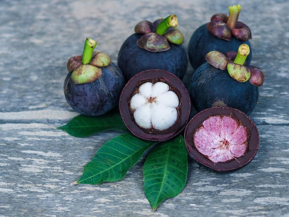Mangosteen as a Natural Supplement for Inflammation in the Philippines: What Science Says